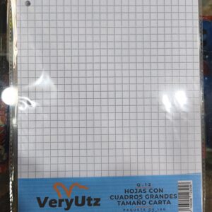 100 hojas cuadro CARTA