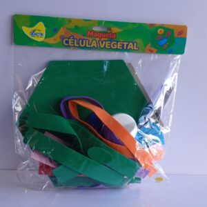 Maqueta celula vegetal