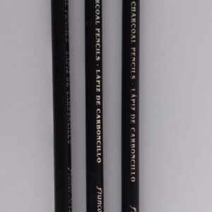 Lapices de carboncillo Franco