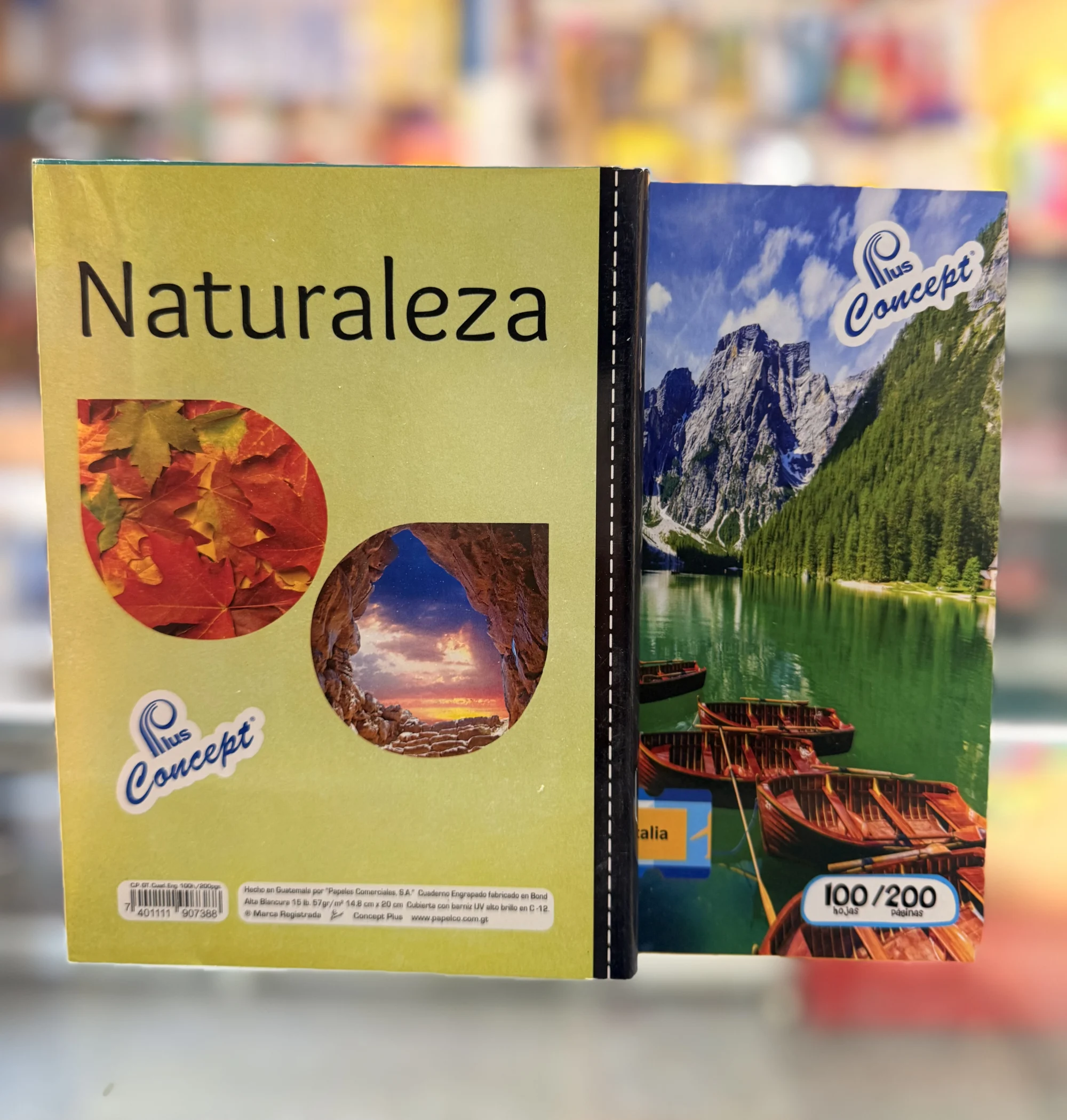 Cuaderno engrapado cuadro pequeño 100 hojas concept