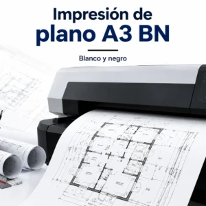 A3 blanco y negro